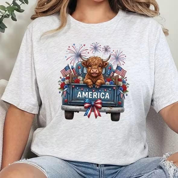 America-Highland Cow