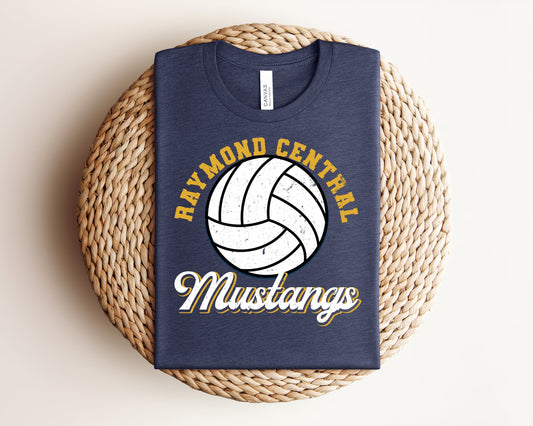 Rc mustangs volleyball